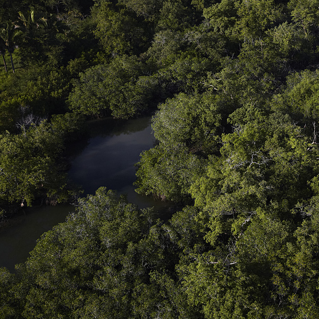 Canopy, Costa Rica