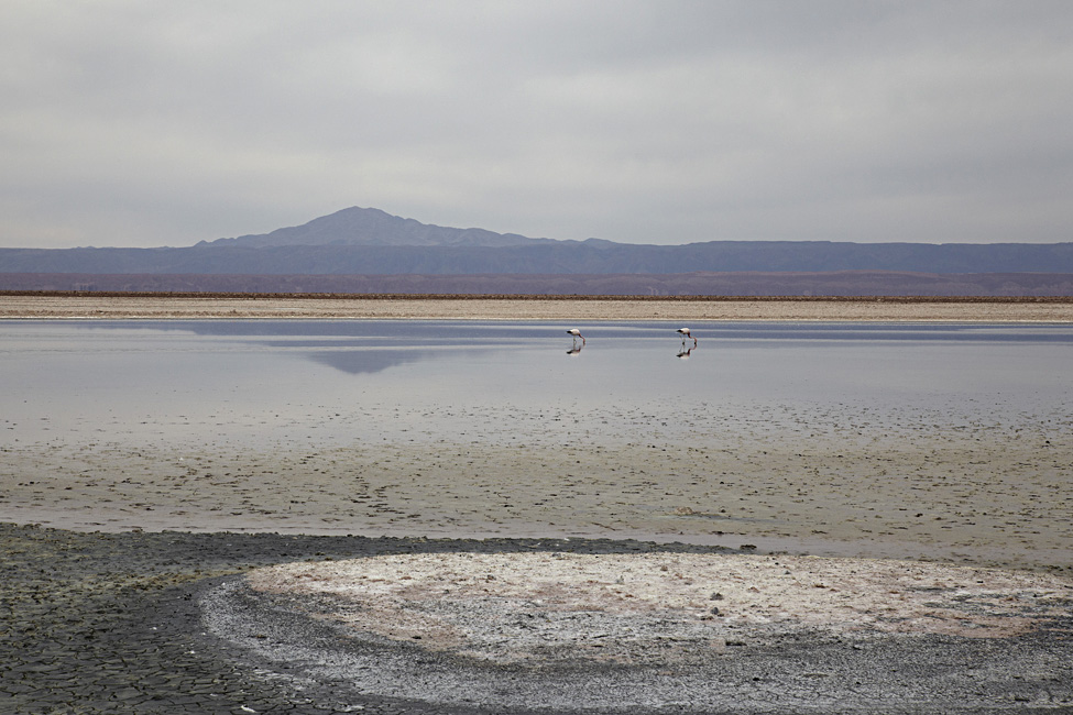 Atacama desert Chile