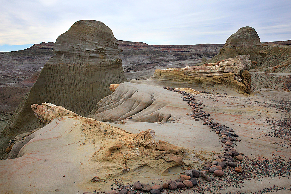 The petrified forest José Ormachea in Chubut